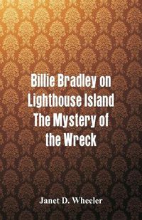 Cover image for Billie Bradley on Lighthouse Island: The Mystery of the Wreck