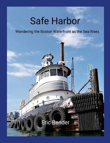 Cover image for Safe Harbor