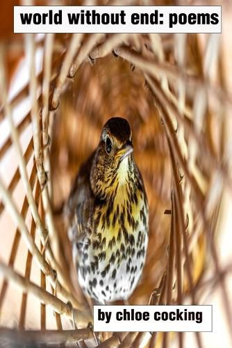 Cover image for world without end