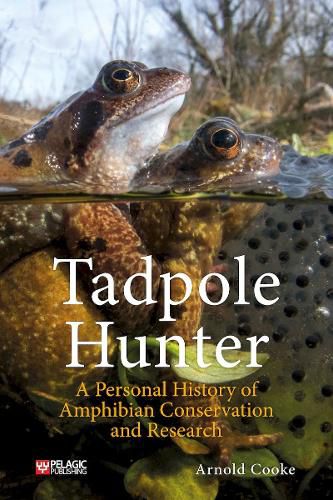 Cover image for Tadpole Hunter