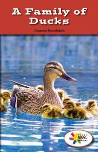 Cover image for A Family of Ducks