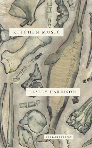 Cover image for Kitchen Music