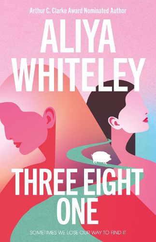 Cover image for Three Eight One