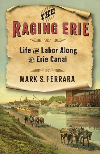 Cover image for The Raging Erie