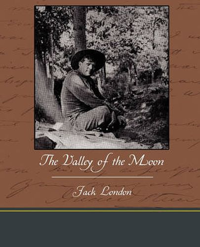 Cover image for The Valley of the Moon