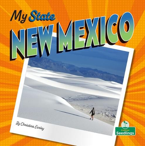 Cover image for New Mexico