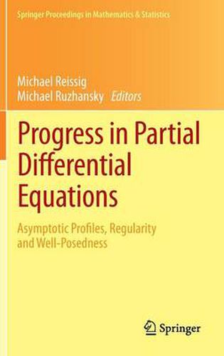 Progress in Partial Differential Equations: Asymptotic Profiles, Regularity and Well-Posedness