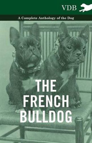 Cover image for The French BullDog A Complete Anthology of the Dog