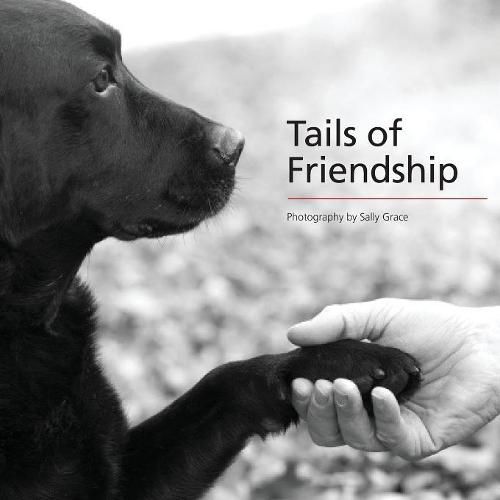 Cover image for Tails of Friendship