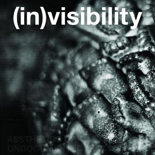 Cover image for (in)visibility