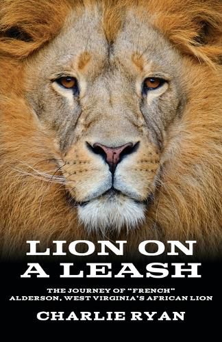 Cover image for Lion On A Leash