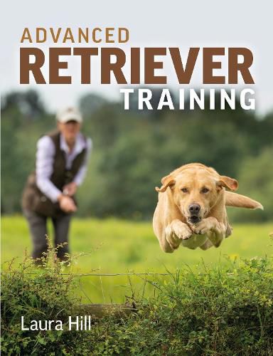 Cover image for Advanced Retriever Training