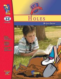 Cover image for Holes