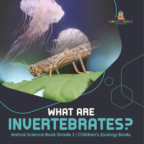 Cover image for What Are Invertebrates? Animal Science Book Grade 3 Children's Zoology Books