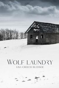 Cover image for Wolf Laundry