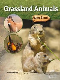 Cover image for Grassland Animals