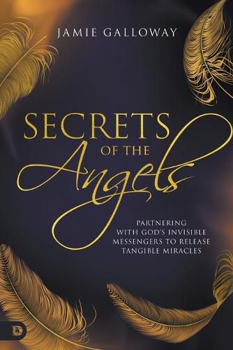 Cover image for Secrets of the Angels