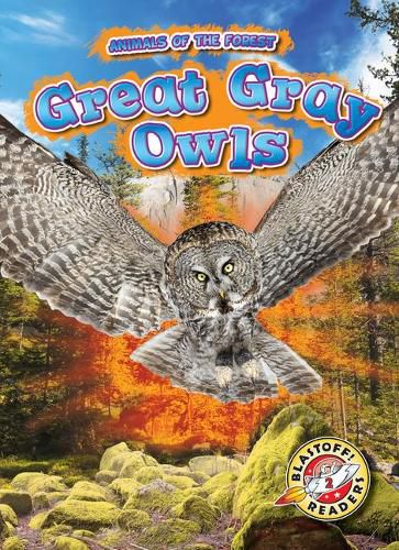 Cover image for Great Gray Owls