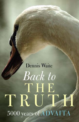 Cover image for Back to the Truth - 5000 years of Advaita