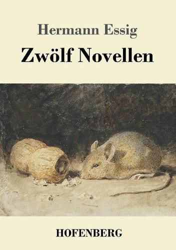 Cover image for Zwoelf Novellen