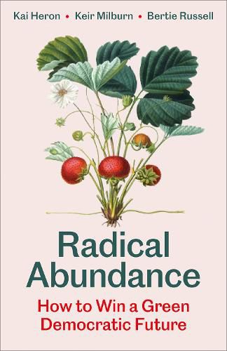 Cover image for Radical Abundance