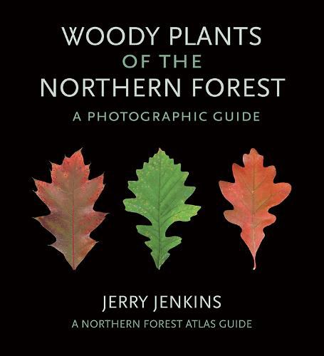 Cover image for Woody Plants of the Northern Forest: A Photographic Guide