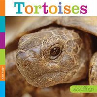 Cover image for Tortoises