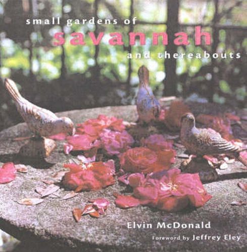 Cover image for Small Gardens of Savannah and Thereabouts