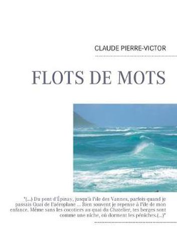 Cover image for Flot de mots