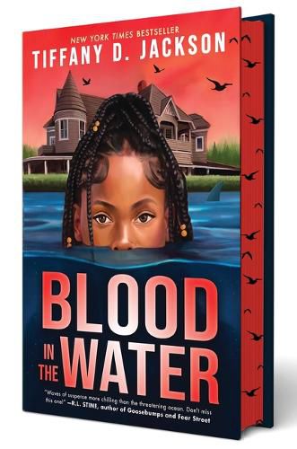 Cover image for Blood in the Water