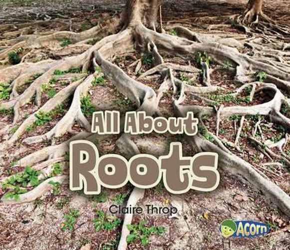 All about Roots