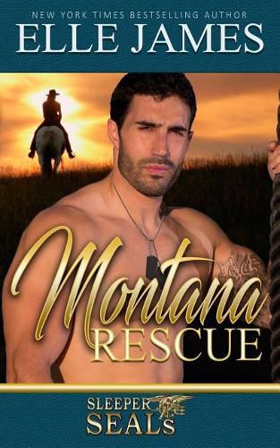 Cover image for Montana Rescue