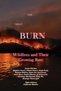 Cover image for The Great Burn
