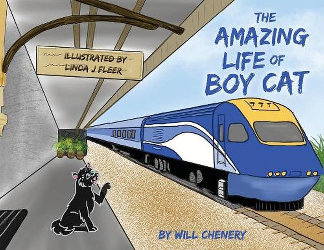 Cover image for The Amazing Life of Boy Cat