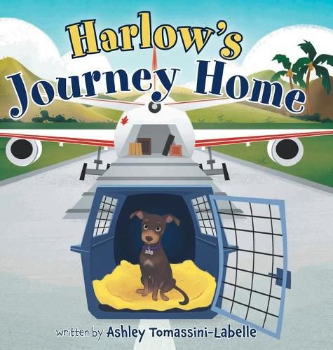 Cover image for Harlow's Journey Home