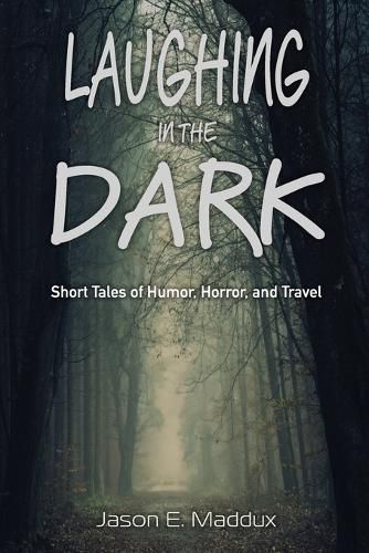 Cover image for Laughing in the Dark