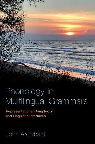 Cover image for Phonology in Multilingual Grammars