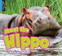 Cover image for Meet the Hippo