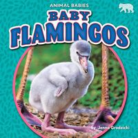 Cover image for Baby Flamingos