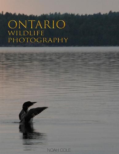 Cover image for Ontario Wildlife Photography