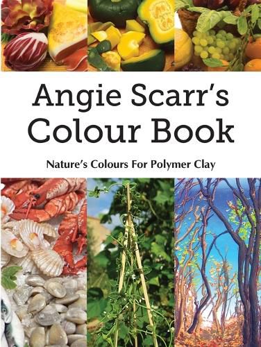 Cover image for Angie Scarr's Colour Book: Nature's Colours For Polymer Clay