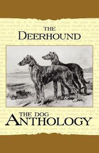 Cover image for The Deerhound - A Dog Anthology (A Vintage Dog Books Breed Classic)