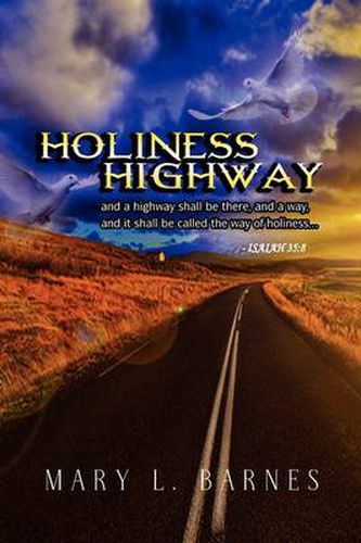 Cover image for Holiness Highway