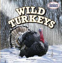 Cover image for Wild Turkeys
