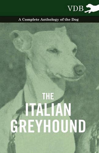 Cover image for The Italian Greyhound - A Complete Anthology of the Dog