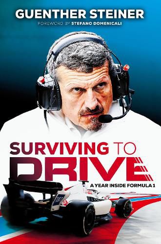 Cover image for Surviving to Drive