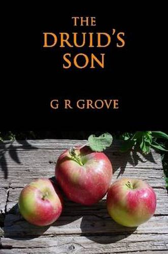 Cover image for The Druid's Son