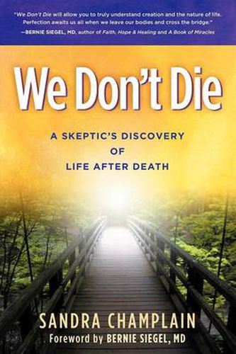 Cover image for We Don't Die: A Skeptic's Discovery of Life After Death