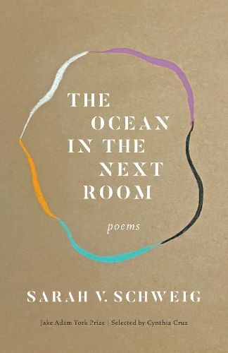 Cover image for The Ocean in the Next Room