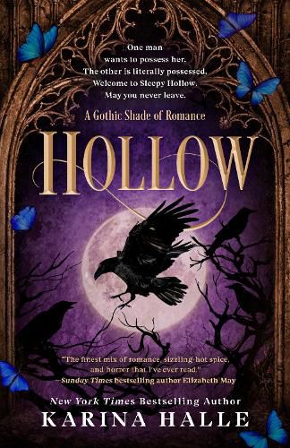 Cover image for Hollow